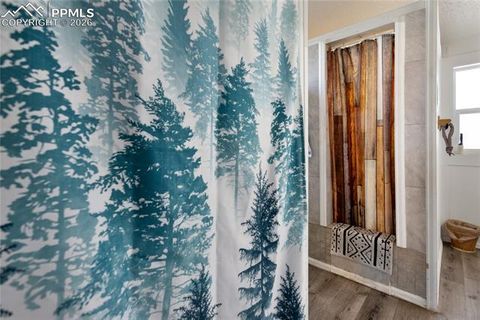 Tiny photo for 311 W Eaton Avenue, Cripple Creek, CO 80813 (MLS # 5655266)