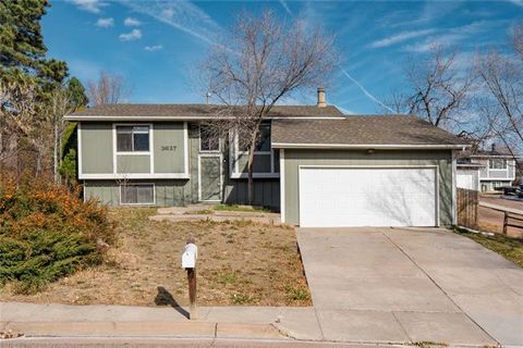 Photo of 3637 San Pedro Court, Colorado Springs, CO 80906 (MLS # 6069425)