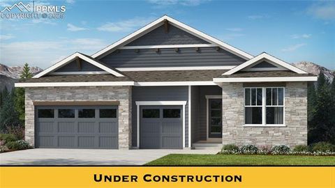 16384 Basset Mill Way Monument CO 80132