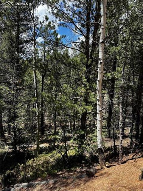 Photo of 703 Horseshoe Drive, Divide, CO 80814 (MLS # 9815029) Photo of 703 Horseshoe Drive, Divide, CO 80814 (MLS # 9815029)