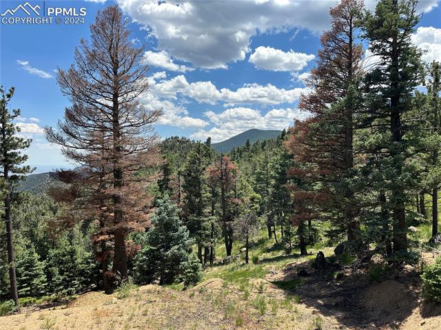 6860 Eagle Mountain Road