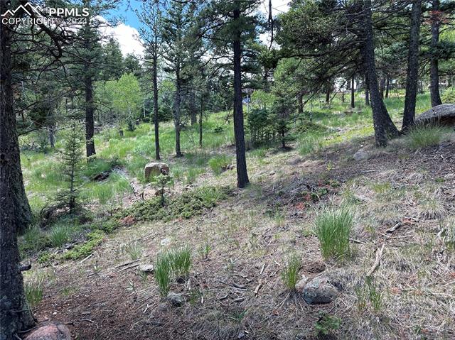 6860 Eagle Mountain Road