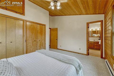 Tiny photo for 187 Thunder Ridge Road, Florissant, CO 80816 (MLS # 4174899)