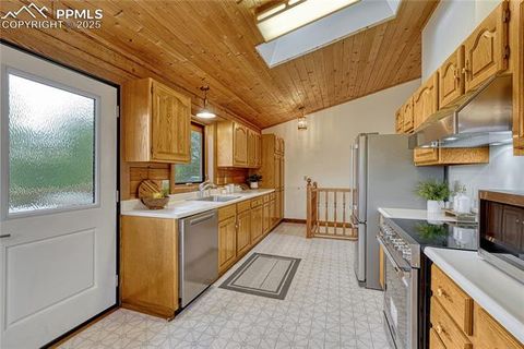 Tiny photo for 187 Thunder Ridge Road, Florissant, CO 80816 (MLS # 4174899)