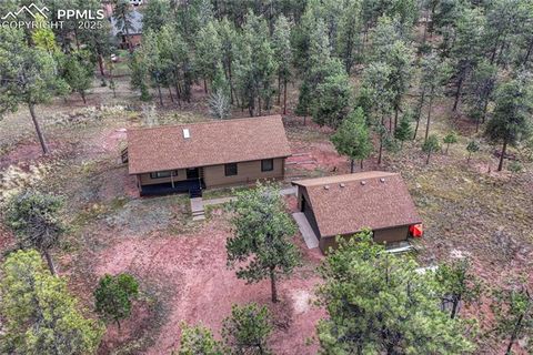 Tiny photo for 187 Thunder Ridge Road, Florissant, CO 80816 (MLS # 4174899)