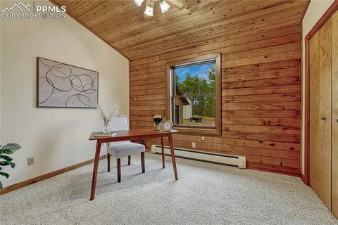 Tiny photo for 187 Thunder Ridge Road, Florissant, CO 80816 (MLS # 4174899)