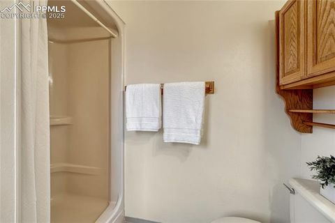Tiny photo for 187 Thunder Ridge Road, Florissant, CO 80816 (MLS # 4174899)