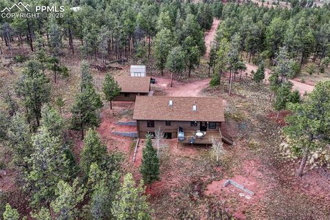 Tiny photo for 187 Thunder Ridge Road, Florissant, CO 80816 (MLS # 4174899)