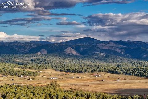 Tiny photo for 187 Thunder Ridge Road, Florissant, CO 80816 (MLS # 4174899)