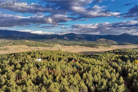 Tiny photo for 187 Thunder Ridge Road, Florissant, CO 80816 (MLS # 4174899)
