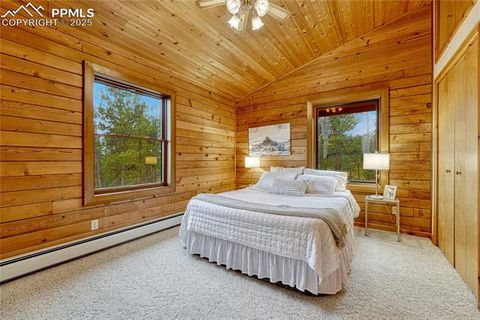 Tiny photo for 187 Thunder Ridge Road, Florissant, CO 80816 (MLS # 4174899)