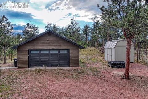 Tiny photo for 187 Thunder Ridge Road, Florissant, CO 80816 (MLS # 4174899)