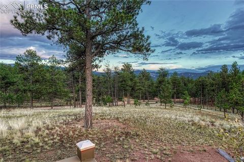 Tiny photo for 187 Thunder Ridge Road, Florissant, CO 80816 (MLS # 4174899)