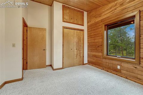 Tiny photo for 187 Thunder Ridge Road, Florissant, CO 80816 (MLS # 4174899)
