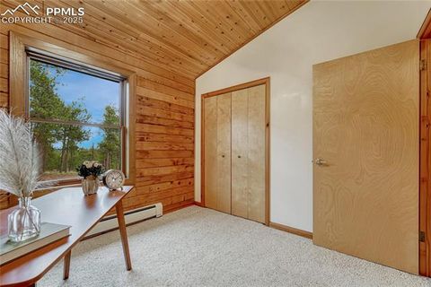 Tiny photo for 187 Thunder Ridge Road, Florissant, CO 80816 (MLS # 4174899)