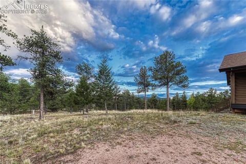 Tiny photo for 187 Thunder Ridge Road, Florissant, CO 80816 (MLS # 4174899)