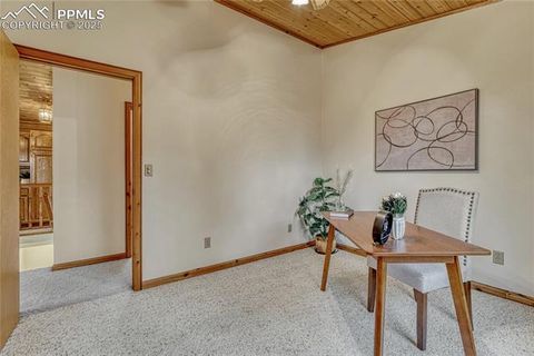 Tiny photo for 187 Thunder Ridge Road, Florissant, CO 80816 (MLS # 4174899)