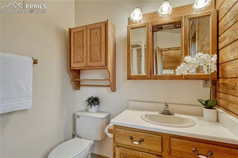 Tiny photo for 187 Thunder Ridge Road, Florissant, CO 80816 (MLS # 4174899)