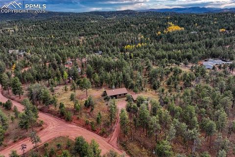 Tiny photo for 187 Thunder Ridge Road, Florissant, CO 80816 (MLS # 4174899)