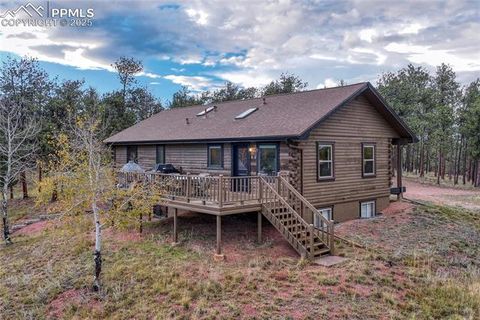 Tiny photo for 187 Thunder Ridge Road, Florissant, CO 80816 (MLS # 4174899)