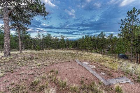 Tiny photo for 187 Thunder Ridge Road, Florissant, CO 80816 (MLS # 4174899)