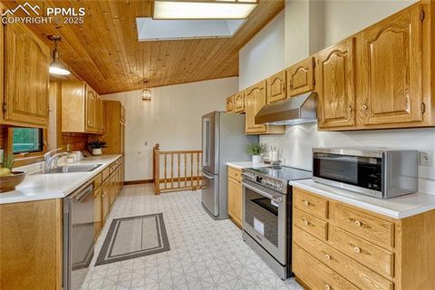 Tiny photo for 187 Thunder Ridge Road, Florissant, CO 80816 (MLS # 4174899)