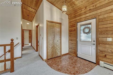 Tiny photo for 187 Thunder Ridge Road, Florissant, CO 80816 (MLS # 4174899)