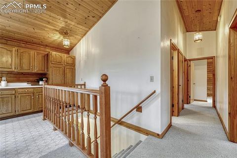 Tiny photo for 187 Thunder Ridge Road, Florissant, CO 80816 (MLS # 4174899)