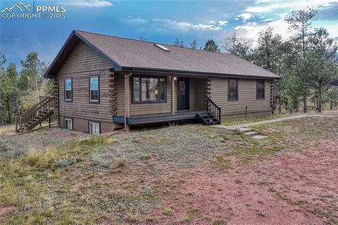 Tiny photo for 187 Thunder Ridge Road, Florissant, CO 80816 (MLS # 4174899)