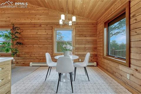 Tiny photo for 187 Thunder Ridge Road, Florissant, CO 80816 (MLS # 4174899)