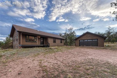 Photo of 187 Thunder Ridge Road, Florissant, CO 80816 (MLS # 4174899)