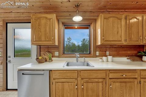 Tiny photo for 187 Thunder Ridge Road, Florissant, CO 80816 (MLS # 4174899)