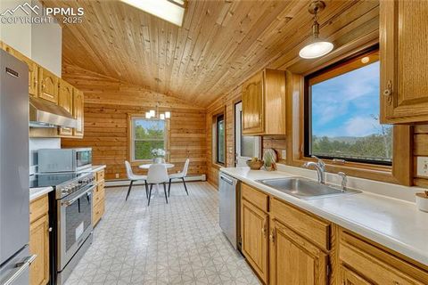 Tiny photo for 187 Thunder Ridge Road, Florissant, CO 80816 (MLS # 4174899)