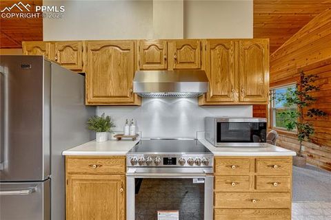 Tiny photo for 187 Thunder Ridge Road, Florissant, CO 80816 (MLS # 4174899)