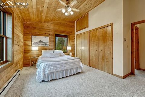 Tiny photo for 187 Thunder Ridge Road, Florissant, CO 80816 (MLS # 4174899)