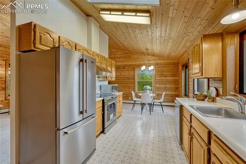 Tiny photo for 187 Thunder Ridge Road, Florissant, CO 80816 (MLS # 4174899)