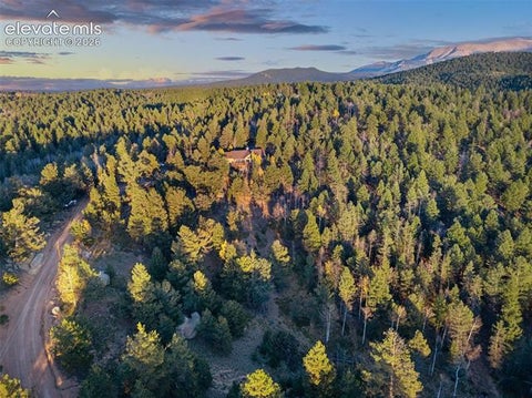Tiny photo for 516 Saguache Drive, Florissant, CO 80816 (MLS # 2312003)