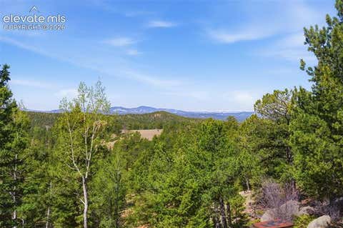 Tiny photo for 516 Saguache Drive, Florissant, CO 80816 (MLS # 2312003)