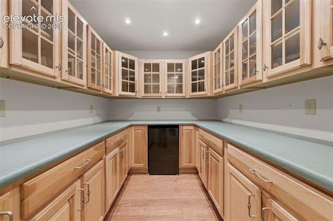 Tiny photo for 516 Saguache Drive, Florissant, CO 80816 (MLS # 2312003)