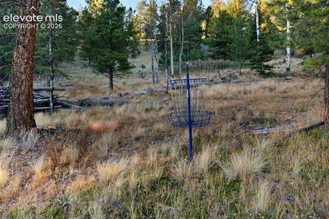 Tiny photo for 516 Saguache Drive, Florissant, CO 80816 (MLS # 2312003)