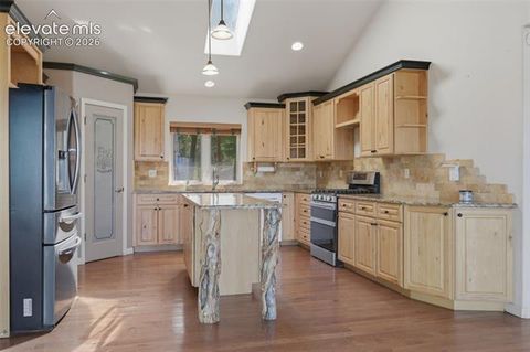 Tiny photo for 516 Saguache Drive, Florissant, CO 80816 (MLS # 2312003)