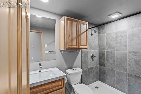 Tiny photo for 63 Iowa Lane, Woodland Park, CO 80863 (MLS # 4316088)