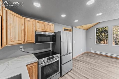 Tiny photo for 63 Iowa Lane, Woodland Park, CO 80863 (MLS # 4316088)