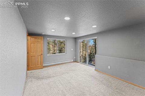 Tiny photo for 63 Iowa Lane, Woodland Park, CO 80863 (MLS # 4316088)
