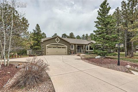 19475 Stag Lane Monument CO 80132