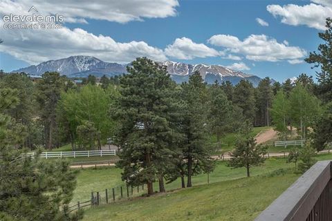 Tiny photo for 42 Bluebird Hill HL, Woodland Park, CO 80863 (MLS # 9203652)