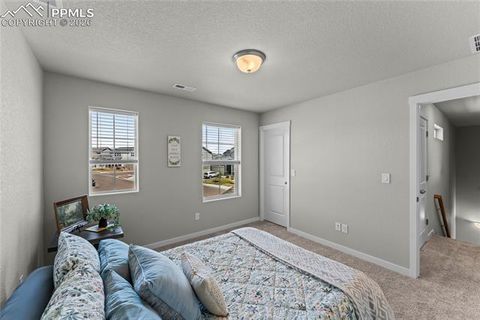 Tiny photo for 8281 Falling Rock Drive, Colorado Springs, CO 80925 (MLS # 9791942)