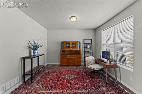 Tiny photo for 8281 Falling Rock Drive, Colorado Springs, CO 80925 (MLS # 9791942)