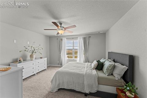 Tiny photo for 8281 Falling Rock Drive, Colorado Springs, CO 80925 (MLS # 9791942)