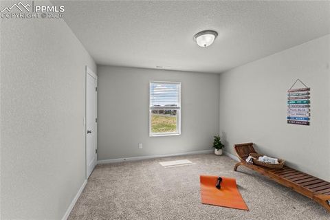 Tiny photo for 8281 Falling Rock Drive, Colorado Springs, CO 80925 (MLS # 9791942)